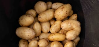 Why you should never store your potatoes in the refrigerator