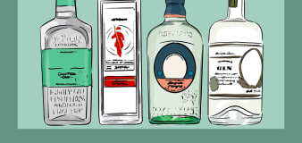 Understanding the 4 main types of gin, according to experts
