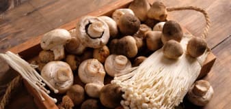 What Are the healthiest types of mushrooms?