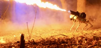 Meet Thermonator, a robotic dog equipped with a flamethrower