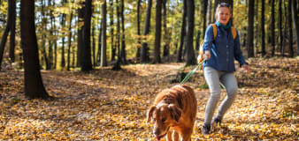 Try these three trainer-approved tips to get your dog to stop leash-pulling on walks