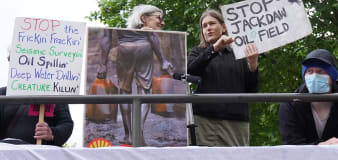 Arrests as climate protesters take over Shell meeting