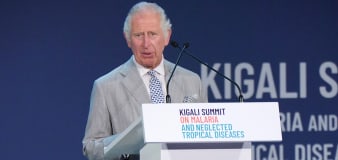 Diversity a 'strength' of Commonwealth - Charles