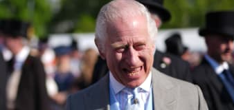 Charles becomes patron of Royal Air Force Museum