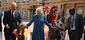 Camilla feeds donkeys and horses while hosting equine charity reception
