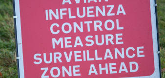 Avian flu surveillance zones in Northern Ireland to be lifted