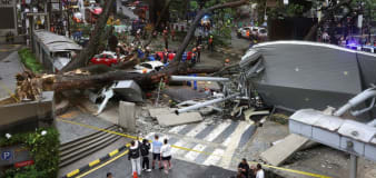 Massive tree falls across busy road in Malaysian capital, killing 1 man, damaging cars