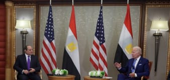 US, Egyptian presidents hold phone call over Gaza ceasefire talks