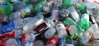 ‘Huge disappointment’ as UK delays bottle deposit plan and excludes glass