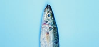 What is the healthiest fish? This surprising No. 1 pick beat out salmon