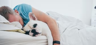 Should pets sleep in your bed? 