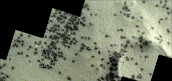 A rover captures images of 'spiders' on Mars in Inca City. But what is it, really?