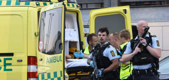 Several dead in Copenhagen mall shooting