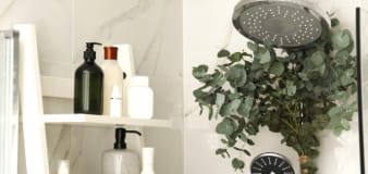 5 reasons to start hanging eucalyptus in your shower