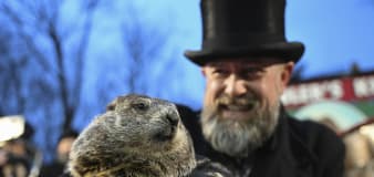 Punxsutawney Phil is a dad! See the 2 groundhog pups welcomed by Phil and his wife, Phyllis
