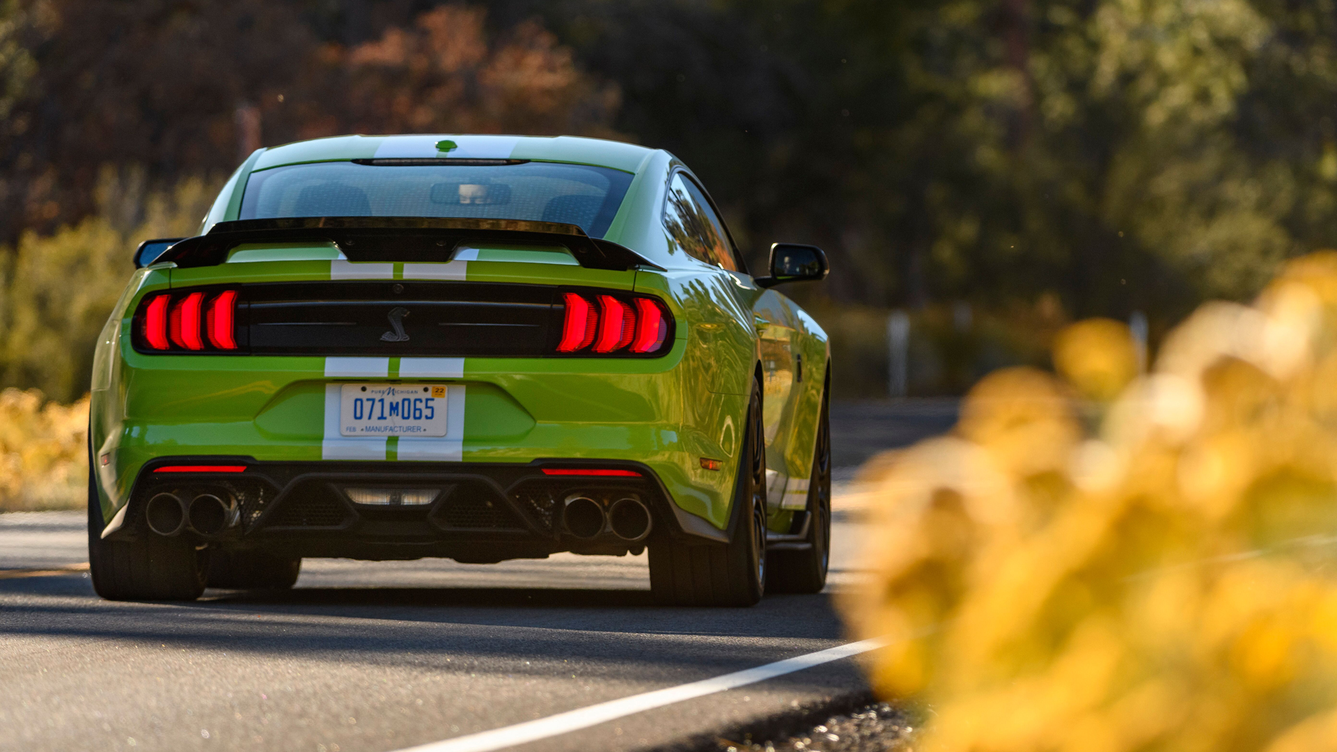 Shelby gt500 2022