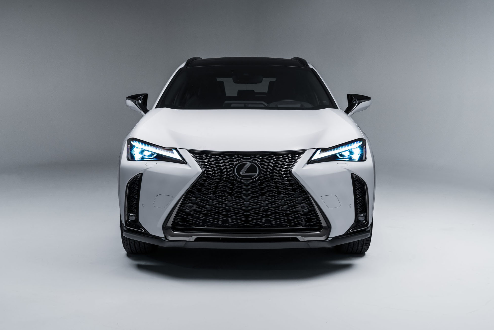 2024 Lexus Ux 300h Nanon Veradis