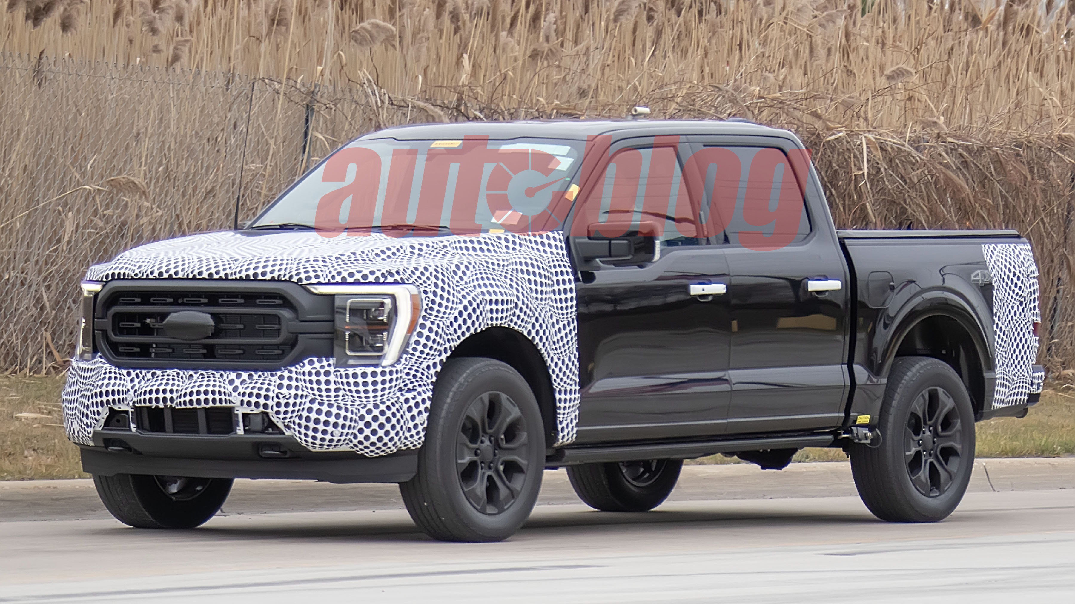 2024 Ford F150 spied with new taillights, covered tailgate Autoblog